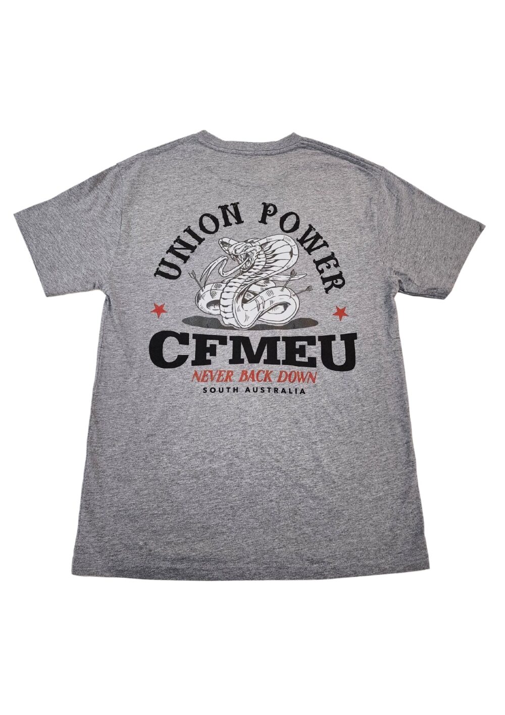 Union Power T-Shirt (Grey) - Image 2
